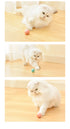 TGS - Pet  Ball Prey Toy